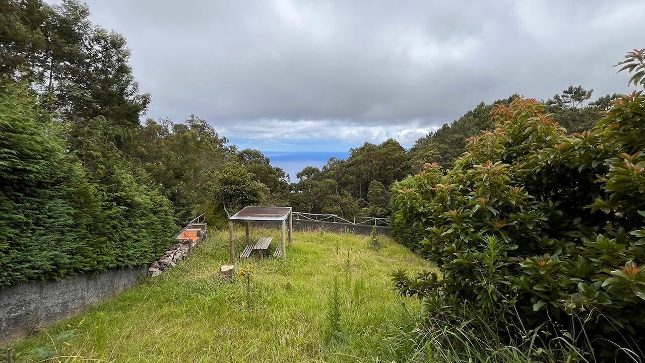 Casa da Amendoeira - The Almond Tree House